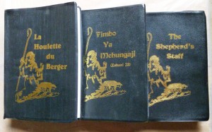 Shepherd's Staff Books